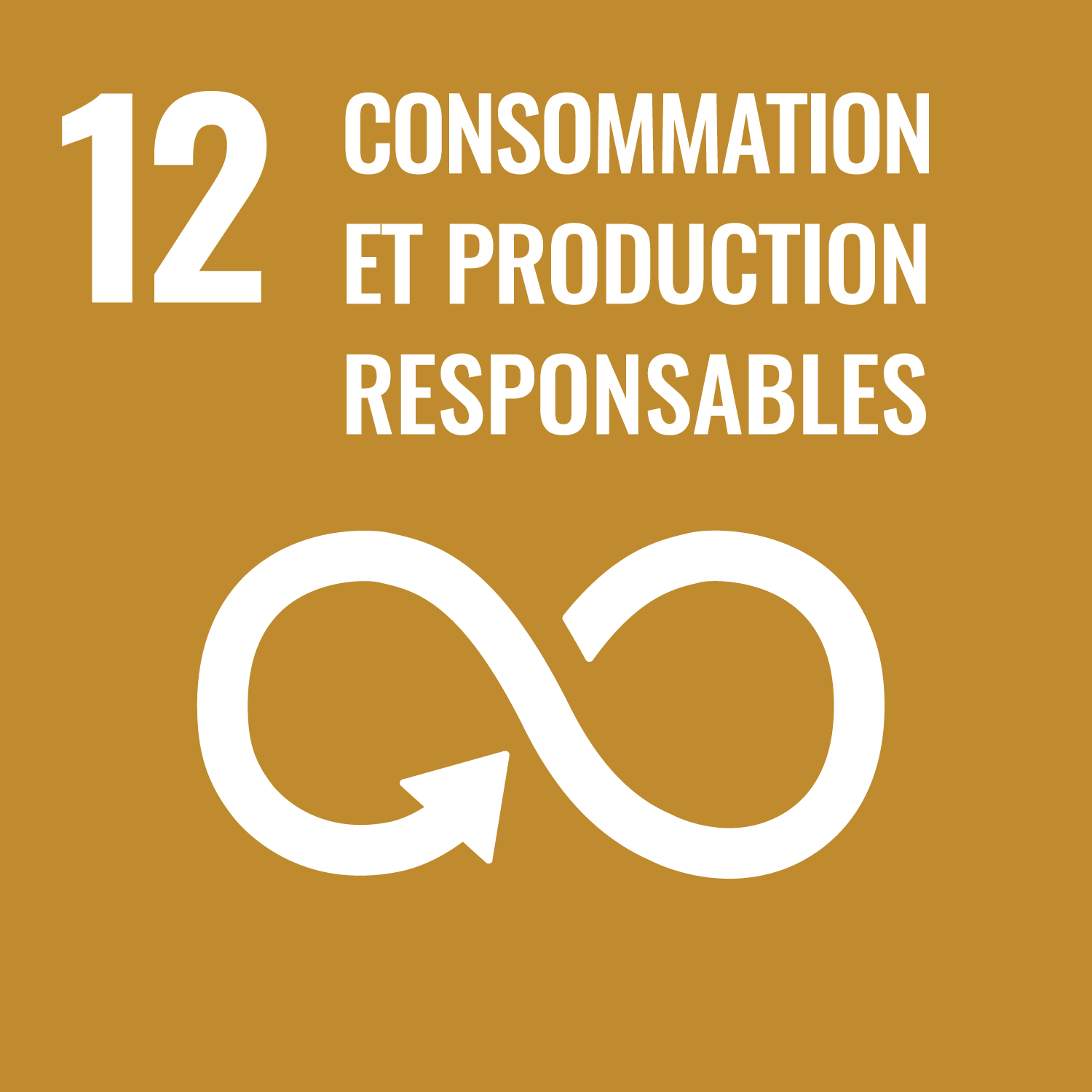 ODD 12 : Consommation et production responsables
