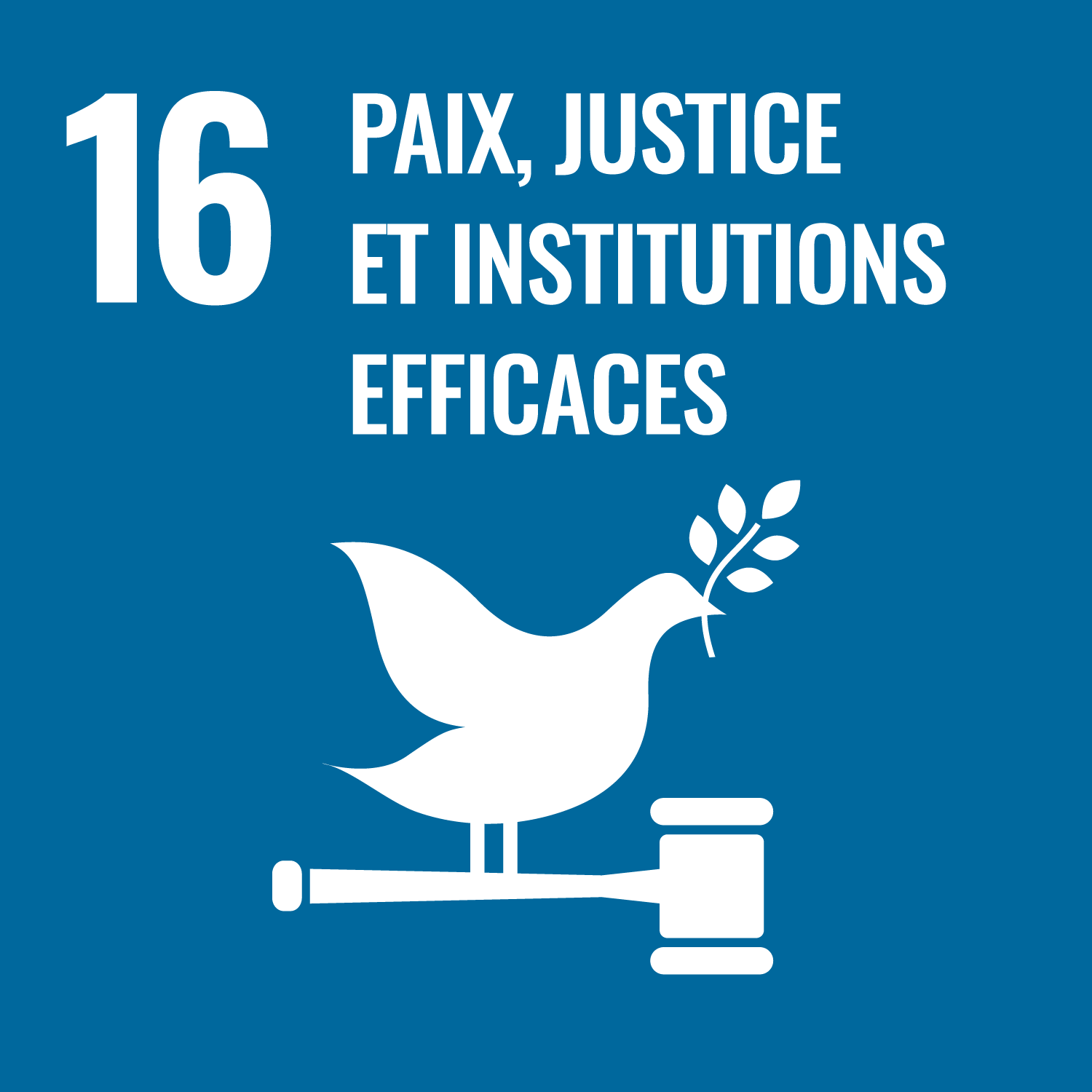 ODD 16 : Paix, justice et institutions efficaces