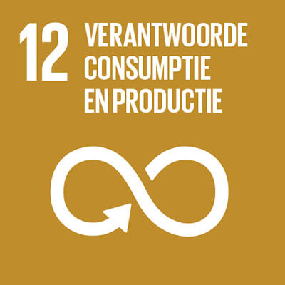 Verantwoorde consumptie en productie